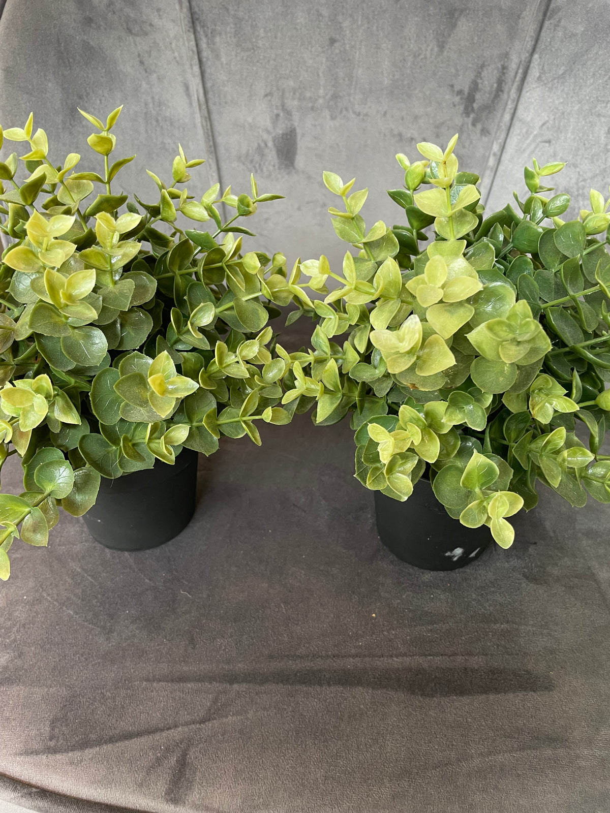 Imitatie plantje