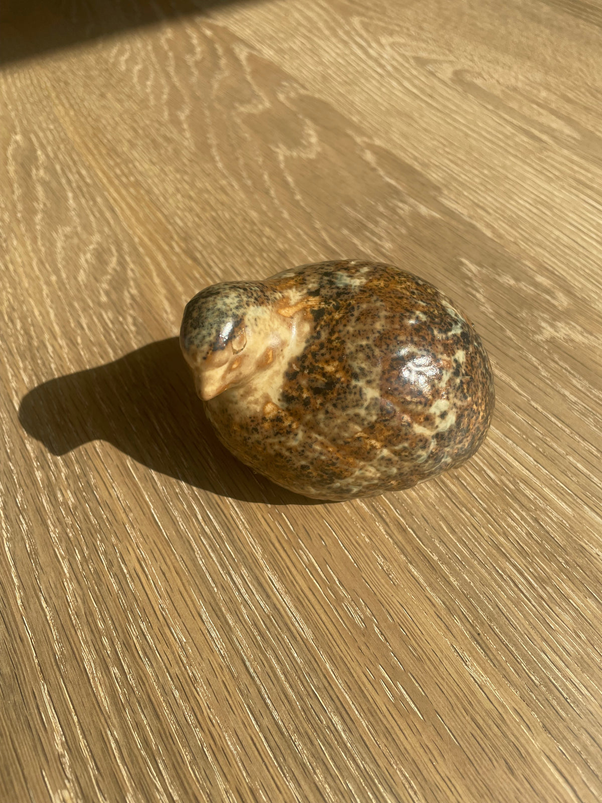Klein beeld-vogel
