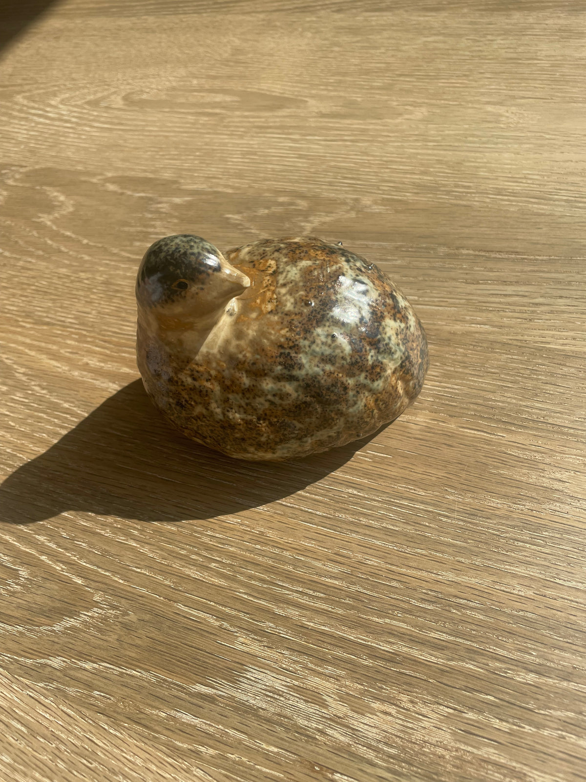 Groot beeld-vogel