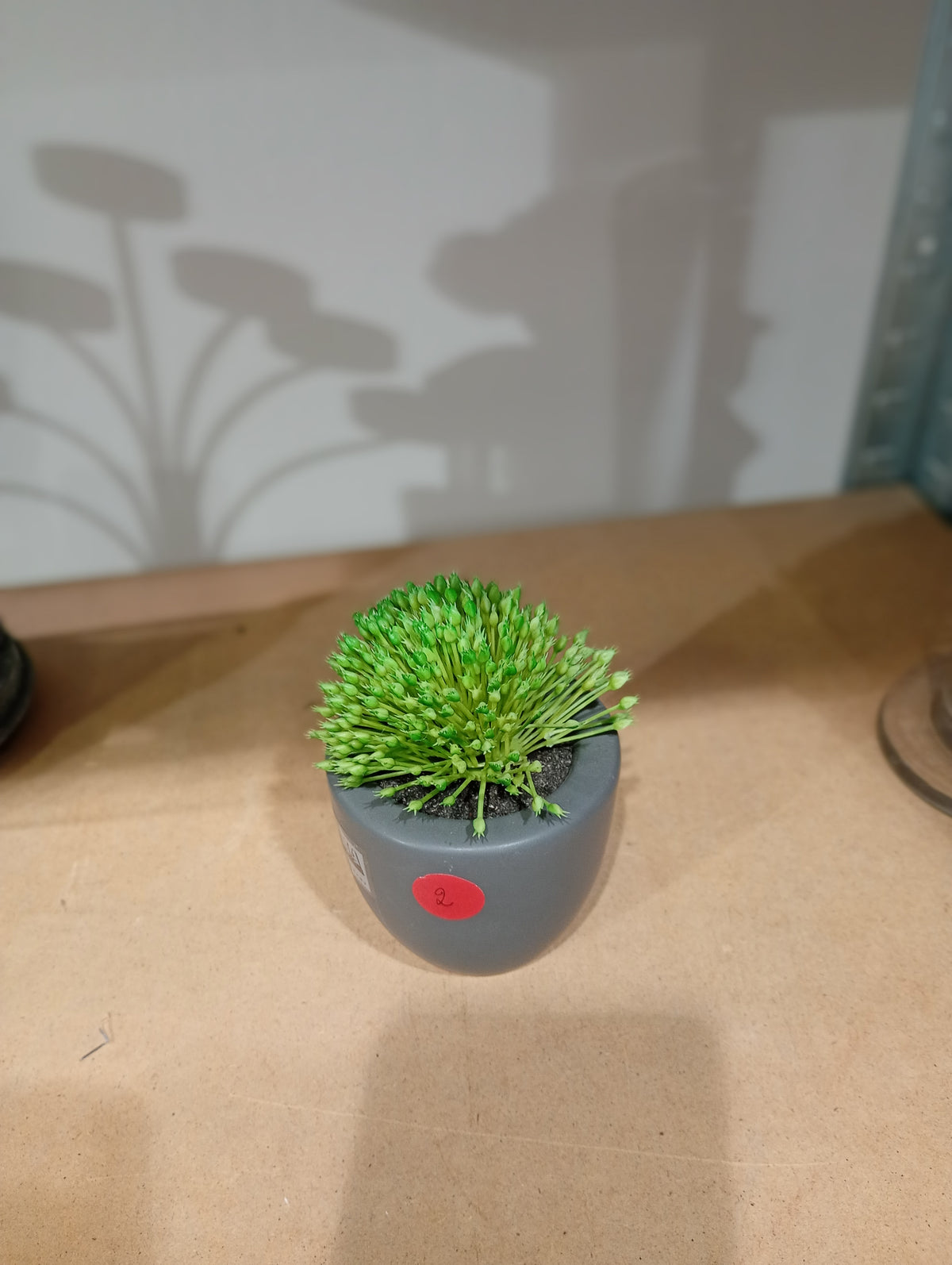 Bloempotje met imitatie vetplantje