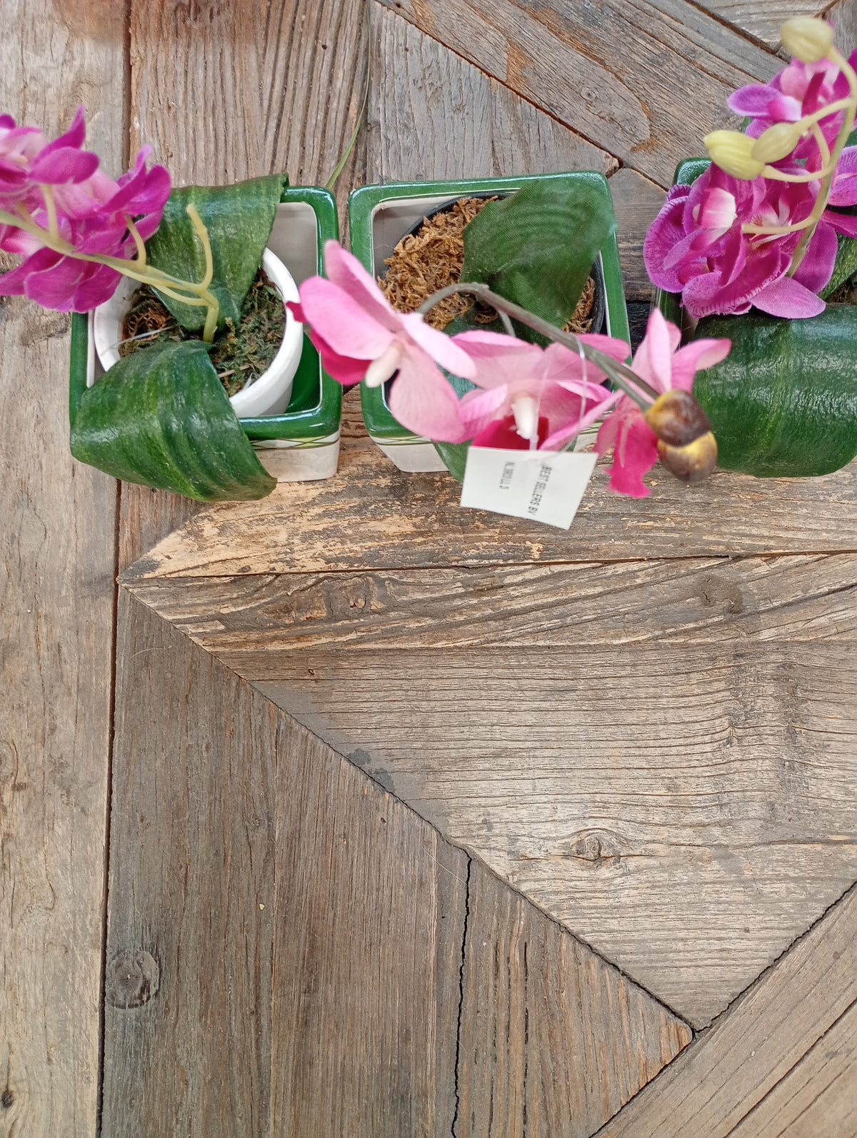 Kunst Orchidee + keramiek potje